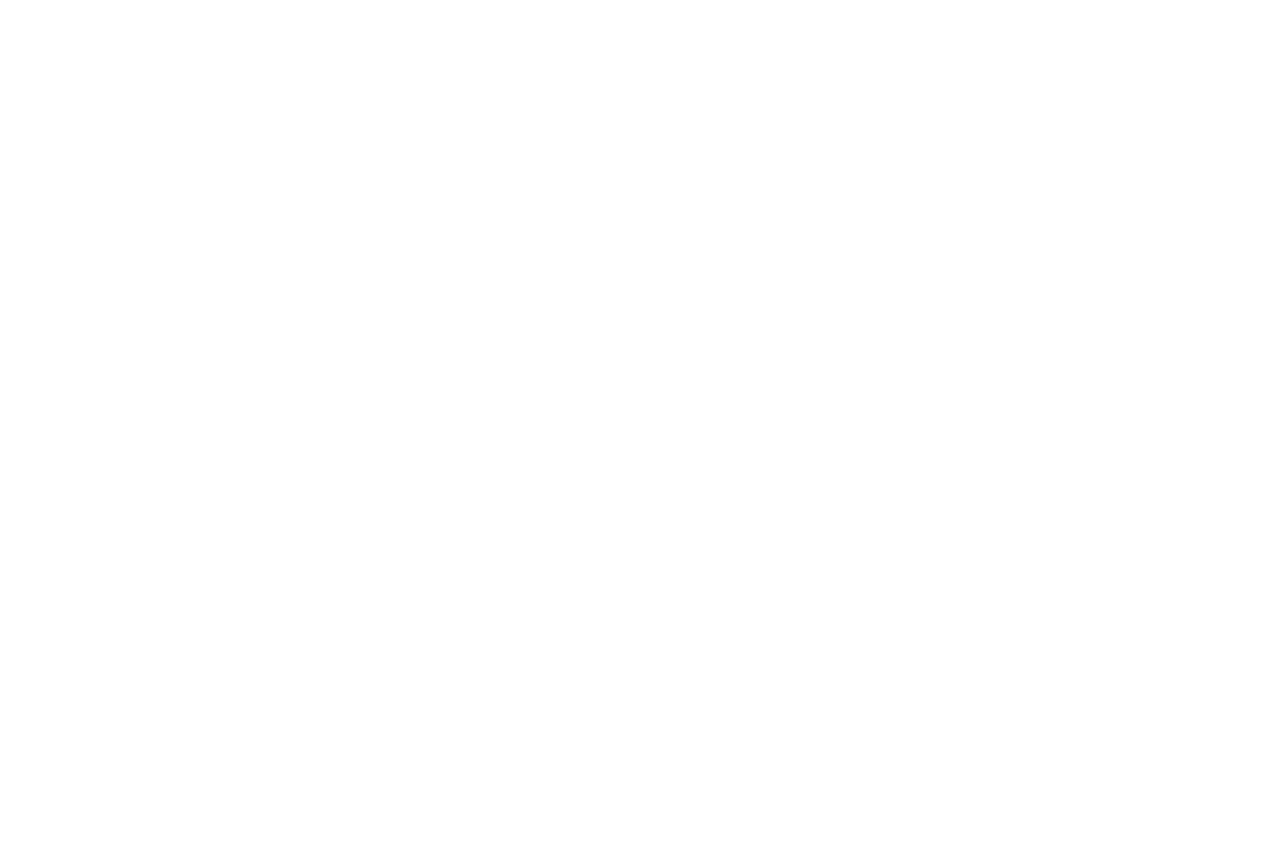 BLACKBOX.SURF